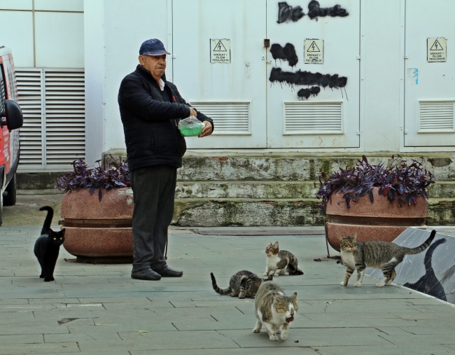 Emekli maaşının yarısını sokak hayvanlarına harcıyor